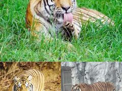 -杭州野生动物世界