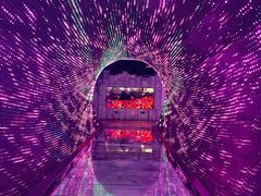 -正佳自然科学博物馆