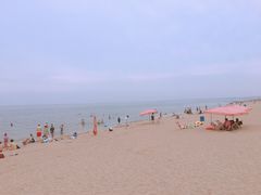 -金梦海湾浴场