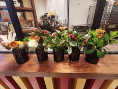 -LUNEURS月乐诗·法式冰淇淋(北外滩来福士广场店)