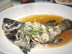 -頂好酒家·经典粤菜(海信广场店)