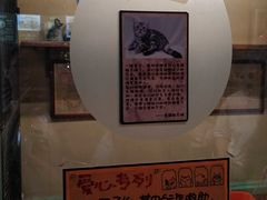 -猫咪博物馆(顶澳仔猫街店)