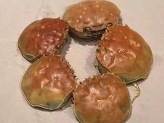 -王宝和酒家(黄浦店)