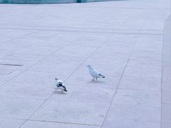 -海河外滩公园