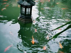 -厦门日月谷温泉渡假村