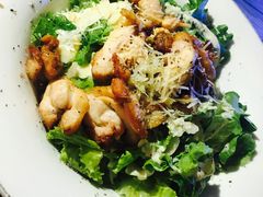 -JF Garden(渔人码头店)