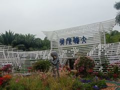 -莲花山公园