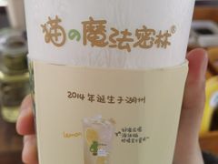 -猫的魔法密林(衣裳街店)