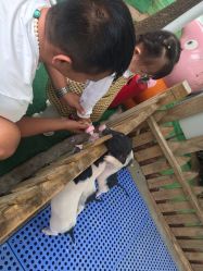 -萌宠亲子动物乐园(槐房万达店)