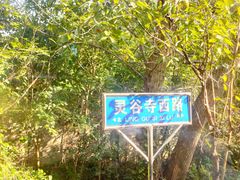 -灵谷景区