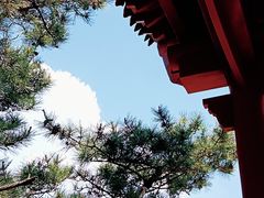-竹子庵公园