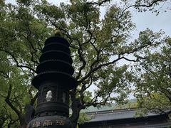 -普陀山风景名胜区-法雨禅寺