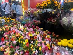 -越秀西湖花市(广州城市广场花卉店)