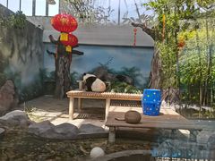 -苏州太湖国家湿地公园