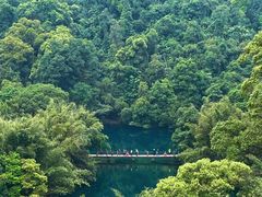 -鼎湖山风景区