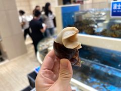 -双井轩(双井店)