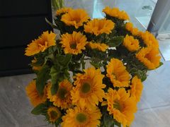 -淘花源花艺鲜花店 开业花篮 绿植(南部商务区店)