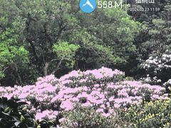 -梧桐山风景名胜区