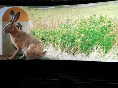 -百美汇影城(LUXE嘉里中心店)