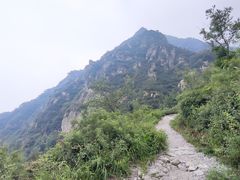 -阳台山自然风景区