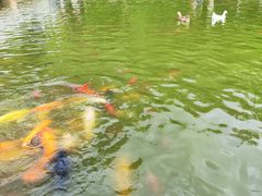 -月牙潭公园