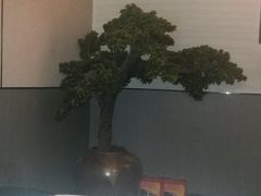 -上足·影院足道·SPA(红岭店)