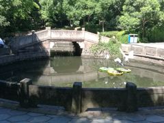 -峙山公园