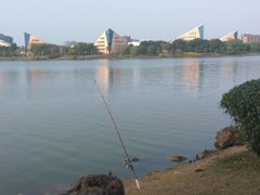 -松山湖南湖湾露营营地