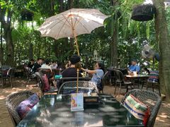 -Fern Forest Cafe