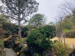 -料亭菊水楼