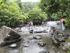 -石台牯牛降景区