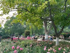 -天津五大道文化旅游区