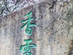 -香雪海