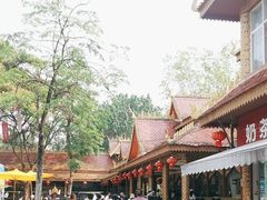 -西双版纳傣族园