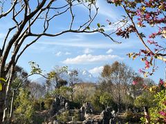 -黑龙潭公园