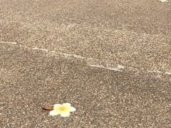 -查龙寺