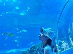 -威海华夏城景区