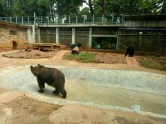 -昆明动物园