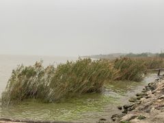 -宾湖农庄·农场特色(太湖龙之梦店)