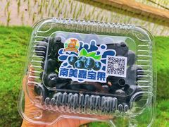 -迪茵湖田家舍生态农场