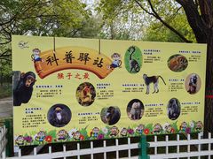 -石家庄市动物园