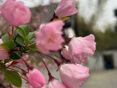 -求雨山文化公园