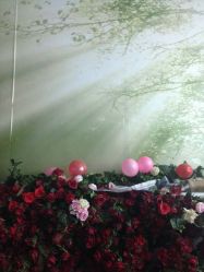 点击看大图 -戛纳印象摄影(潮拍定制馆)