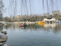 -莲湖公园