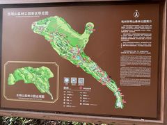 -东明山森林公园