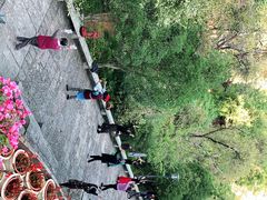 -黑龙潭公园