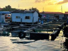 -蓝湾碧波·老字号·疍家非遗海上餐厅