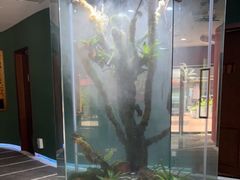 -泰悠谷养生SPA(世茂商业街店)