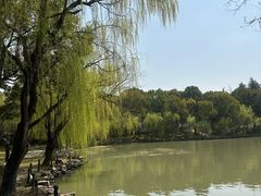 -上海影视乐园