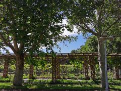 -北京张裕爱斐堡酒庄